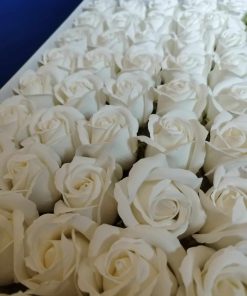 Trandafiri albi